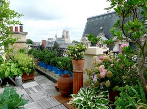 Amenagez un magnifique jardin de ville
