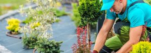 Aménagement de jardin et entretien d'espaces verts