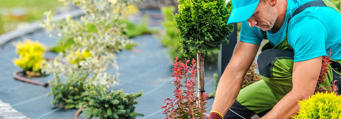 Aménagement de jardin et entretien d'espaces verts